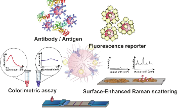 Molecular Diagnostics with Gold Nanoparticles