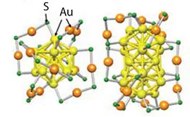 The Photovoltaic Properties of Gold Nanoclusters
