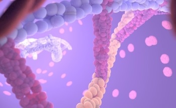 Nanomedicine for Rare Diseases