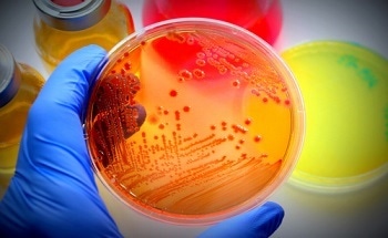 Killer Clothing Using Nanotechnology To Destroy Bacteria and Fungi