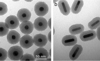 Silica-Coated Gold Nanoparticles