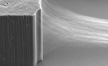 Drawable Carbon Nanotube (CNT) Arrays