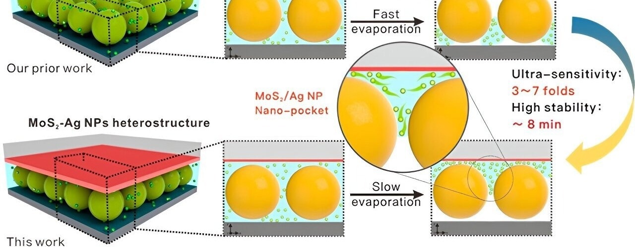 Nano-Pocket Captures Target Molecules in New, Sensitive SERS
