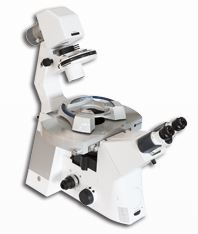 Quantitative Mechanical Property Mapping with the BioScope Resolve™ from Bruker