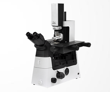 Atomic Force Microscope for the Nanoscale - NX12