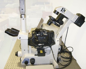 AIST-NT CombiScope 1000 Scanning Probe Microscope