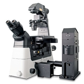 Inverted Raman Imaging Microscope: WITec alpha300 Ri