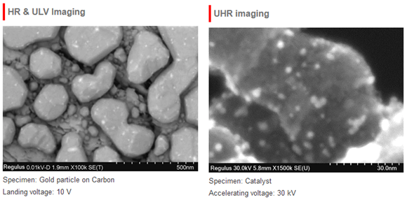 Regulus8230: A High Resolution Scanning Electron Microscope