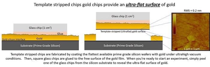 Ultra-Flat Gold Surfaces