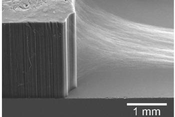 Drawable Carbon Nanotube (CNT) Arrays