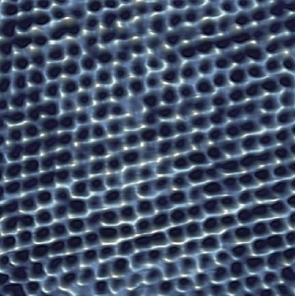 Topography image of atomic lattice of mica in liquid. Image taken in closed-loop TappingMode operation on an inverted microscope. Scan size: 10 nm × 10 nm, height range: 220 pm.