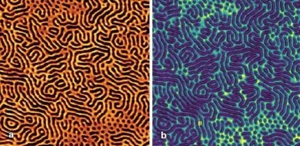 PeakForce-QNM image of a thin film of styrene-ethylene-butylene- styrene triblock copolymer (Kraton G1652) prepared on a silicon wafer. The topography is shown at the top and the corresponding Young’s modulus is shown below. Scan size: 1 µm × 1 µm. a) Height range: 22 nm; b) Modulus range: 280 MPa.