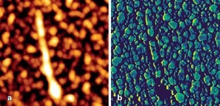 Conductive AFM (CAFM) of zinc oxide deposited on niobium-doped strontium titanate (bias voltage -4.0 V). Sample courtesy Prof. F. Bobba, University of Salerno, Italy. Scan size: 850 nm × 850 nm. a) Height range: 16 nm; b) Current range: 42 nA.