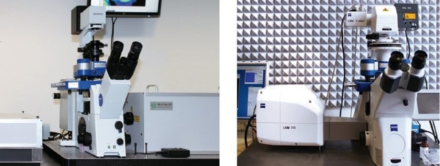 The images show the NanoWizard® AFM combined with a Picoquant MicroTime 200 FLIM system and with a Zeiss LSM 700 confocal laser scanning system.