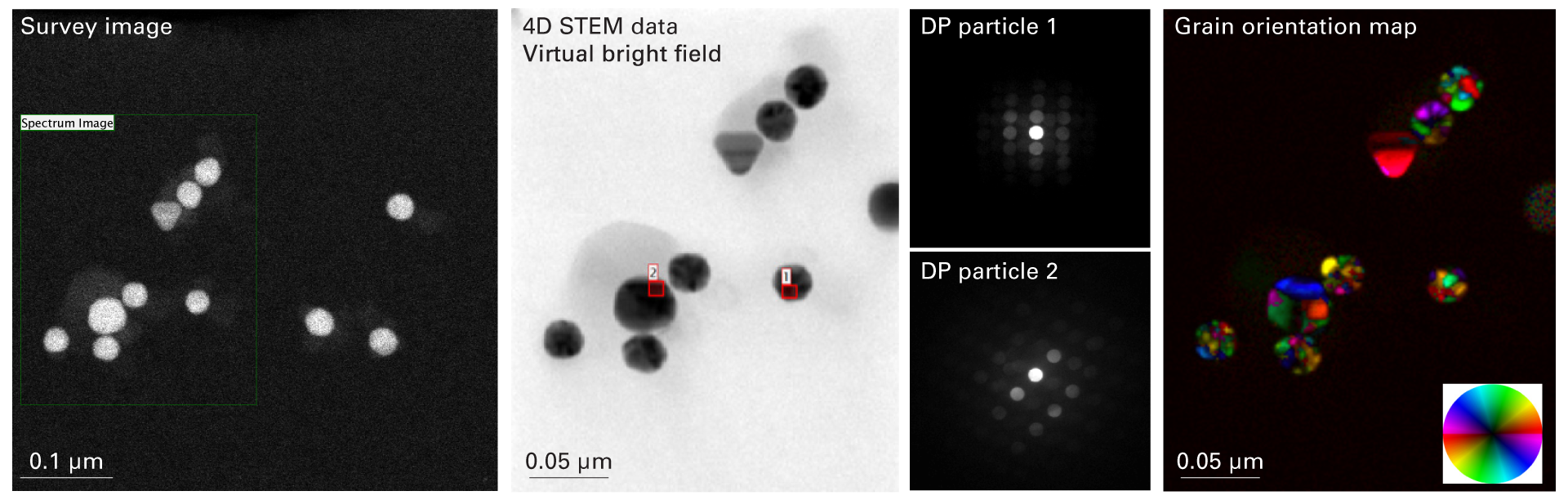 4D STEM diffraction data cube. A 4D STEM diffraction data cube was collected using the Stela camera and STEMx system. Specimen: Au nanoparticles. Scan area: 176 × 218 pixels, Diffraction image size: 256 × 256 pixels. Dwell time: 5 ms. Color map showing grain orientations classified based on the angular position of the maximum diffraction peak per probe position using a DigitalMicrograph script.