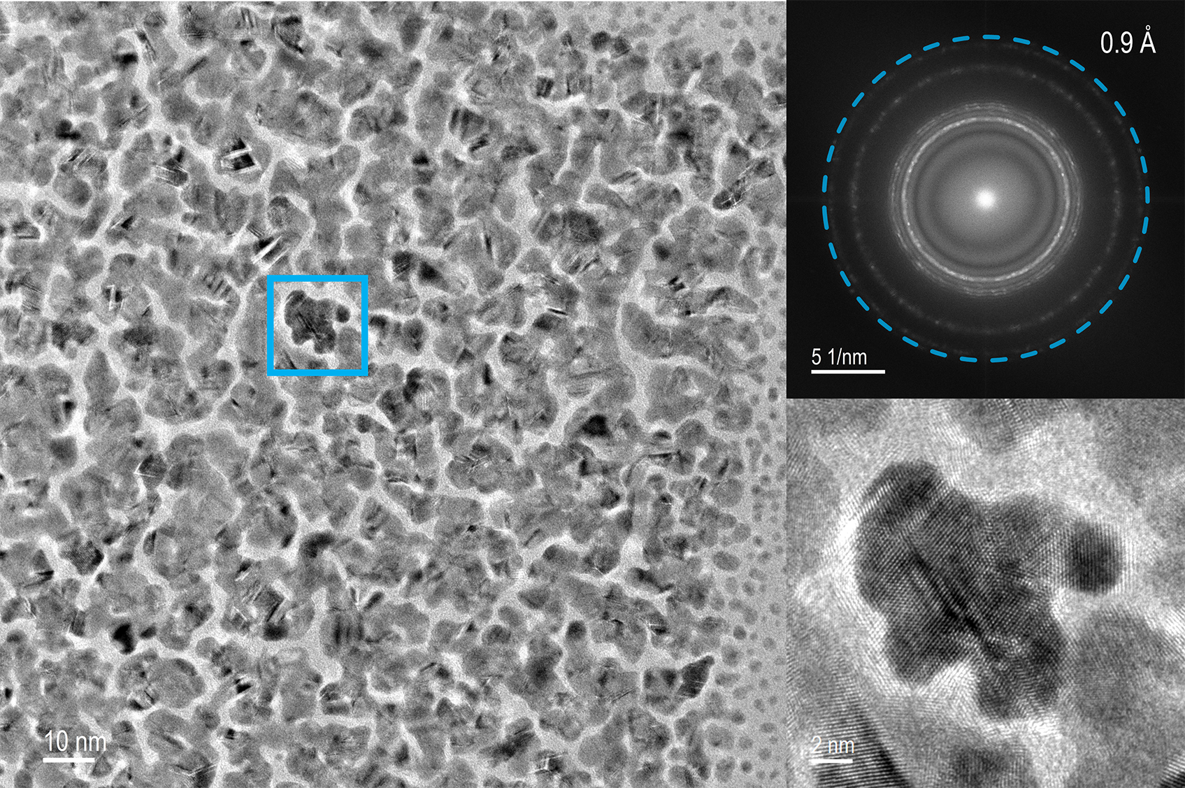Large field of view, high resolution imaging of Au particles with ClearView.