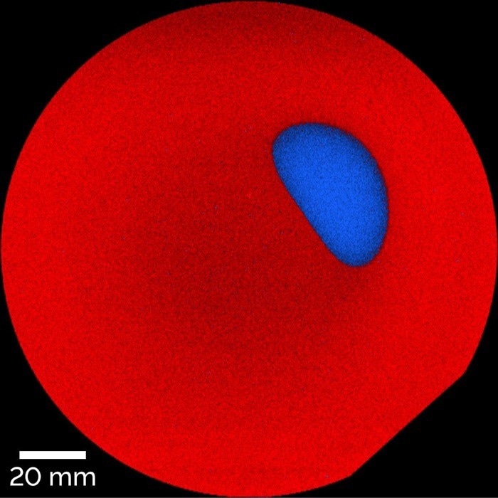 Confocal Raman image of a 15 cm SiC wafer. TrueComponent Analysis identified two spectra, which mainly differed in the doping-sensitive A1 peak (ca. 990 cm-1). The image reveals an oval region (blue) with a different doping concentration than the bulk wafer area (red).