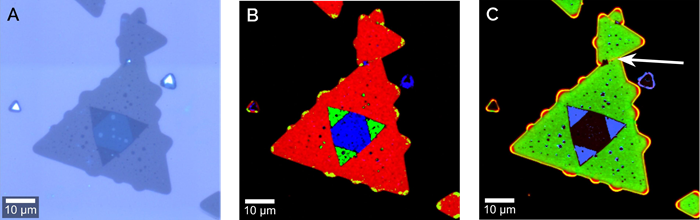 Characterization of a WSe2 flake. A: bright-field image. B: high-resolution Raman image (102,400 spectra acquired in about 17 minutes), distinguishing single-layer (red), bi-layer (green), and multi-layer (blue) areas. C: photoluminescence image with visible grain boundary (white arrow).