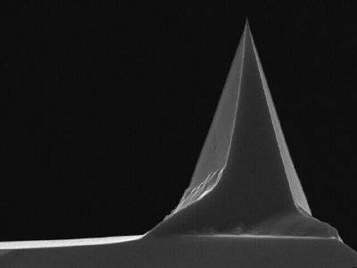 Applied Nanostructures SensaProbes