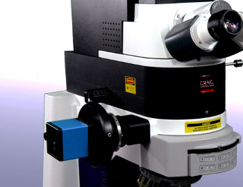 Raman Spectroscopy of Microscopic Samples