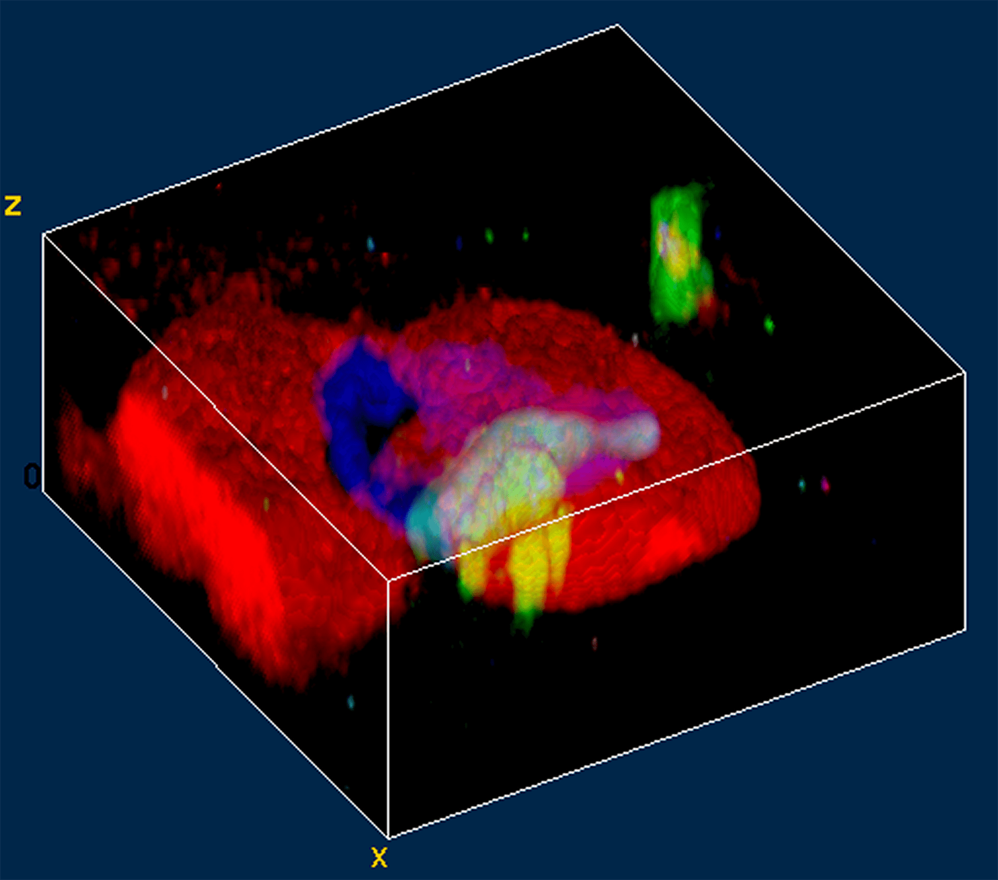 3D Raman image of a fluid inclusion in garnet.