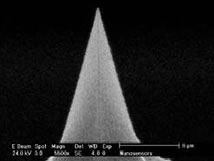Conductive Diamond Coated AFM Tip from NANOSENSORS