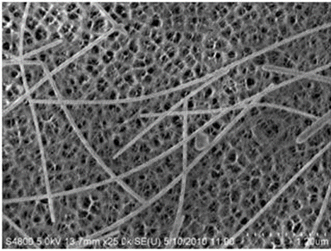 Gold Nanowires From Merck