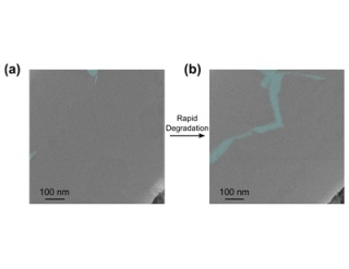 An image of void coalescence. On left, a low-magnification TEM of MoS2 grain boundary region prior to biasing. On right, the same region after an electrical bias is applied. As is apparent, neighboring voids (blue) appear to coalesce to form porous chains