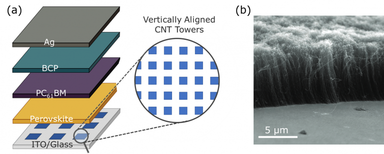 (a) Structure of a solar cell device stack utilising a VACNTs as a hole extraction layer and (b) SEM image of the VACNTs grown on the ITO substrate.