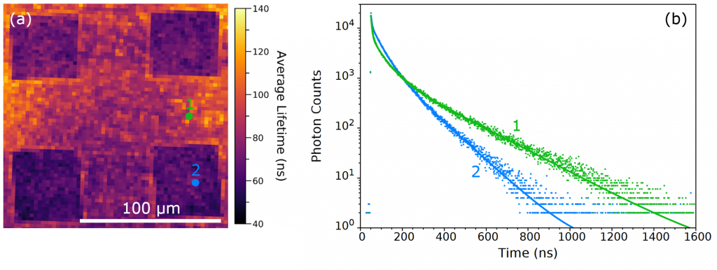 PL lifetime mapping of the perovskite sample. (a) Average PL lifetime map of the perovskite surface and (b) extracted PL decays (dots) and three-component exponential fits (solid lines).