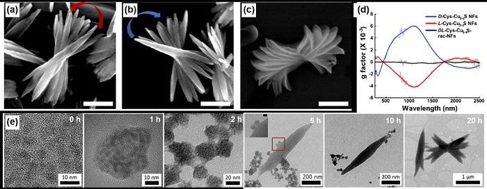 Researchers Observe Chiroptical Activity from Nanomaterials.