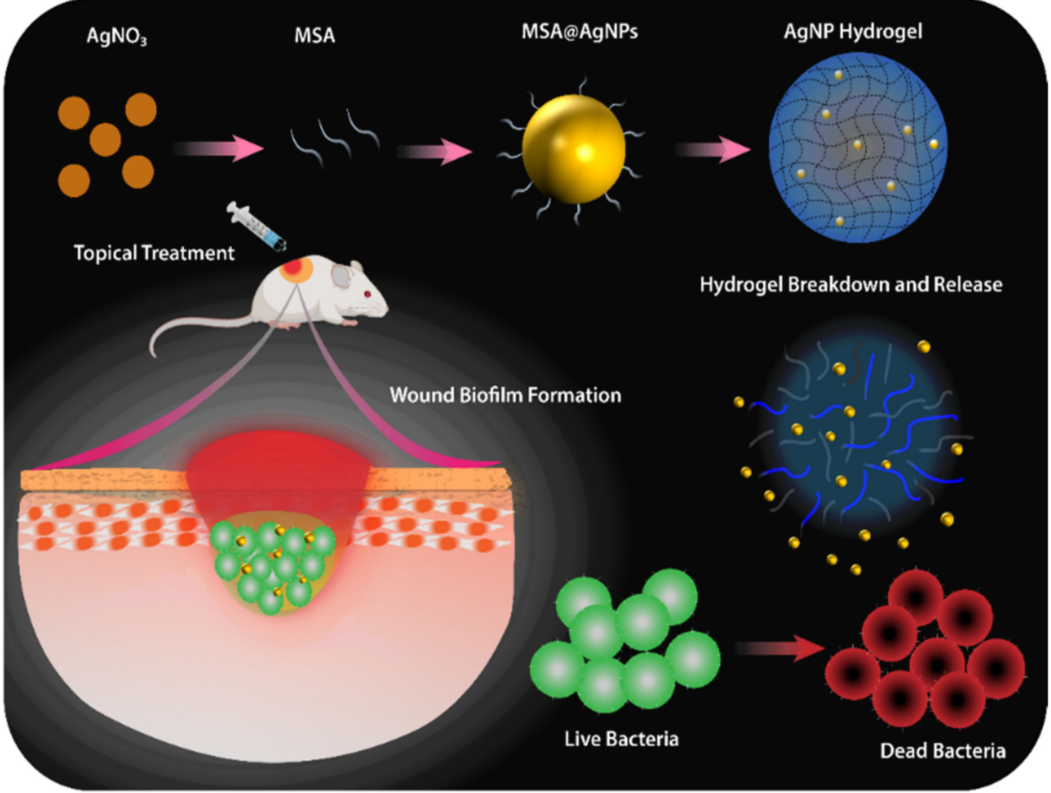 Silver Nanoparticles with Antibiofilm Activity to Tackle Mature Biofilm Wound Infections.