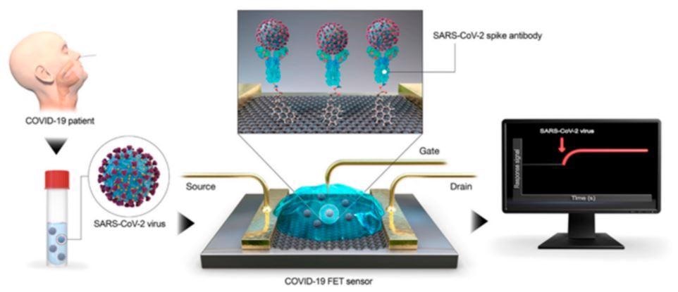 nanobiosensor, COVID-19