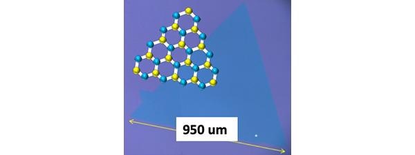 Researchers Create 2D Monolayer Transition Metal Dichalcogenide.