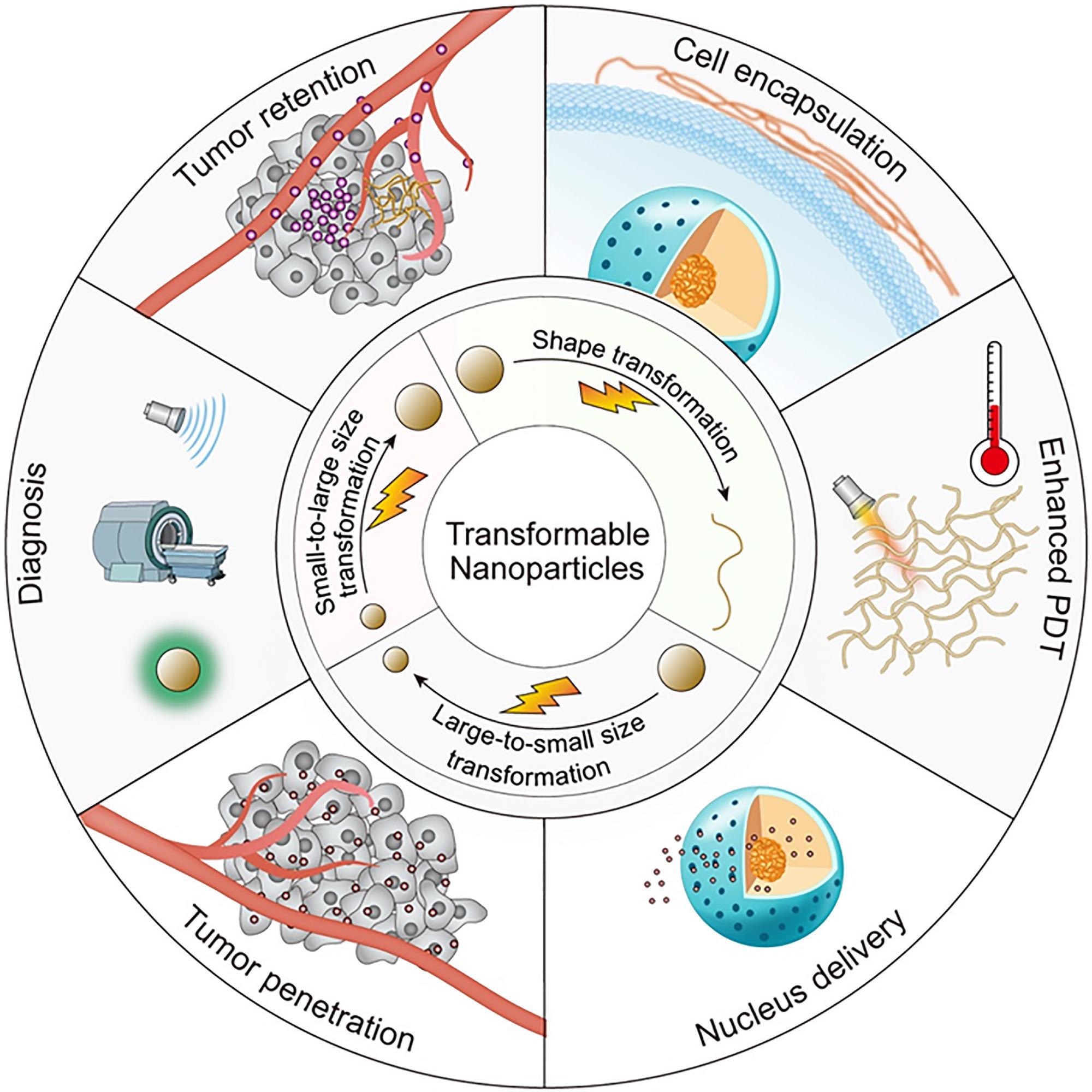 Smart Nanomaterials in Cancer Theranostics: Challenges and Opportunities