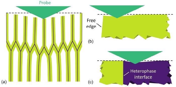 Diagrams illustrating potential sources of structural conformity in nanoindentation of the wood cell wall, including (a) sample-scale bending represented by deformations in the cell structure of wood, (b) a free edge , as with an empty lumen, and (c) a heterophase interface, as between CCML and the S1 secondary cell wall.