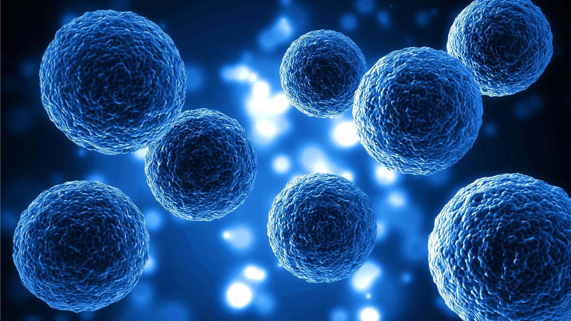 New Process to Form Vesicles that can Carry Vaccine Nanoparticles into Human Cells.