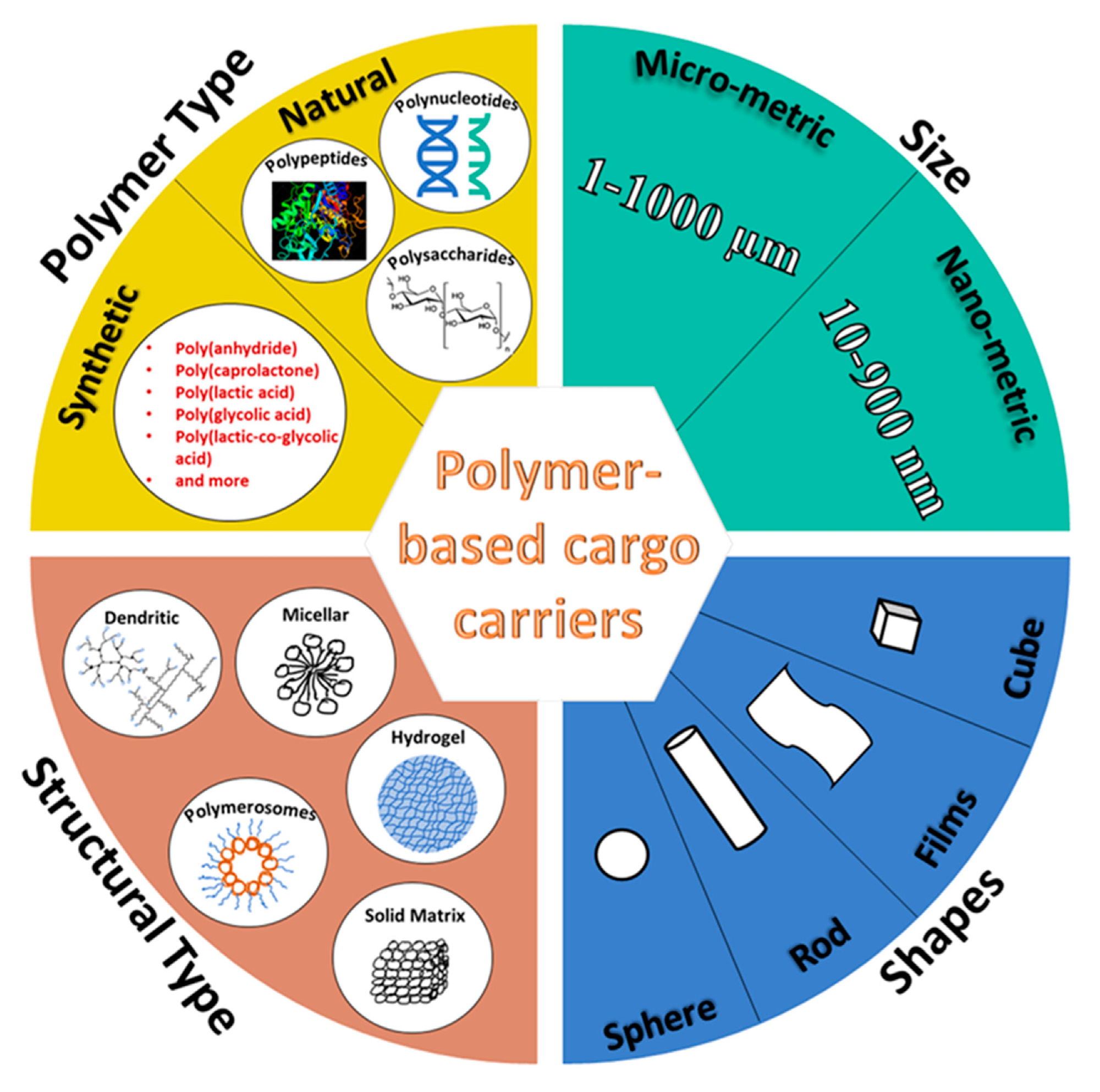Classification of polymer-based carriers of biomedical cargo.