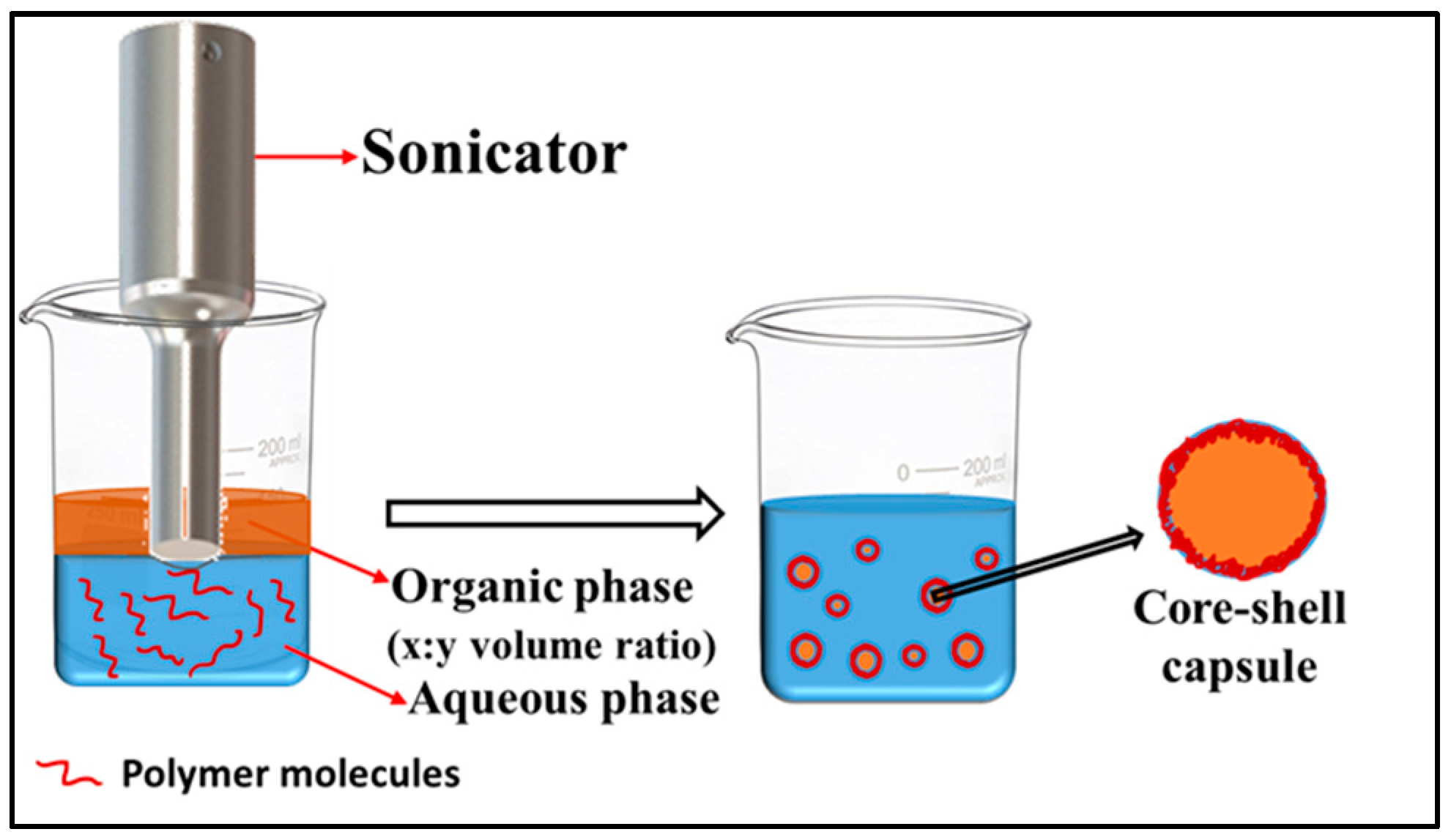 Schematic diagram of ultrasonication-assisted emulsification-coacervation.