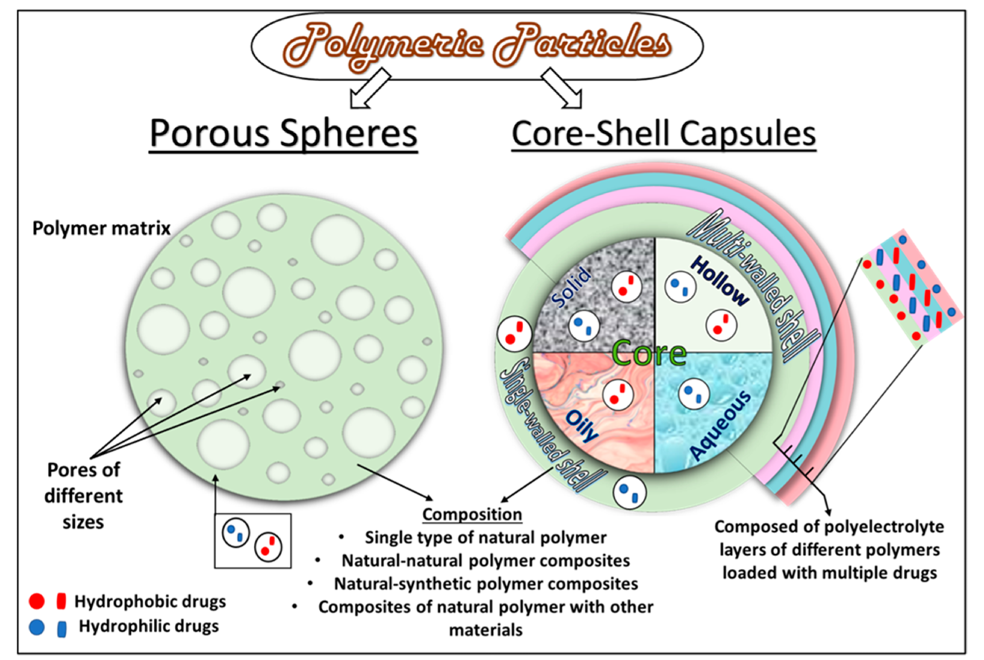 Structural configurations of core–shell and porous natural polymeric/protein particles.