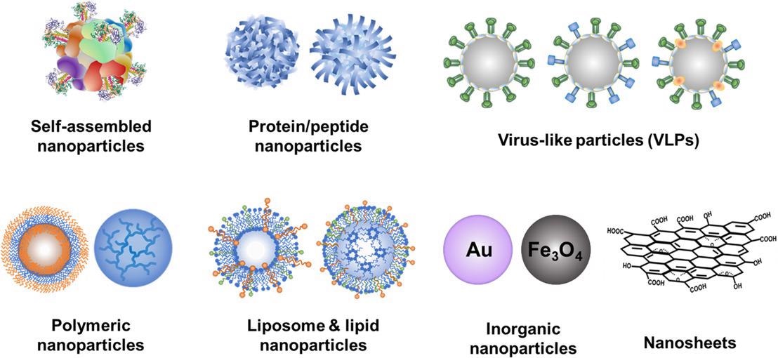 Various nanoparticle platforms for vaccine development.