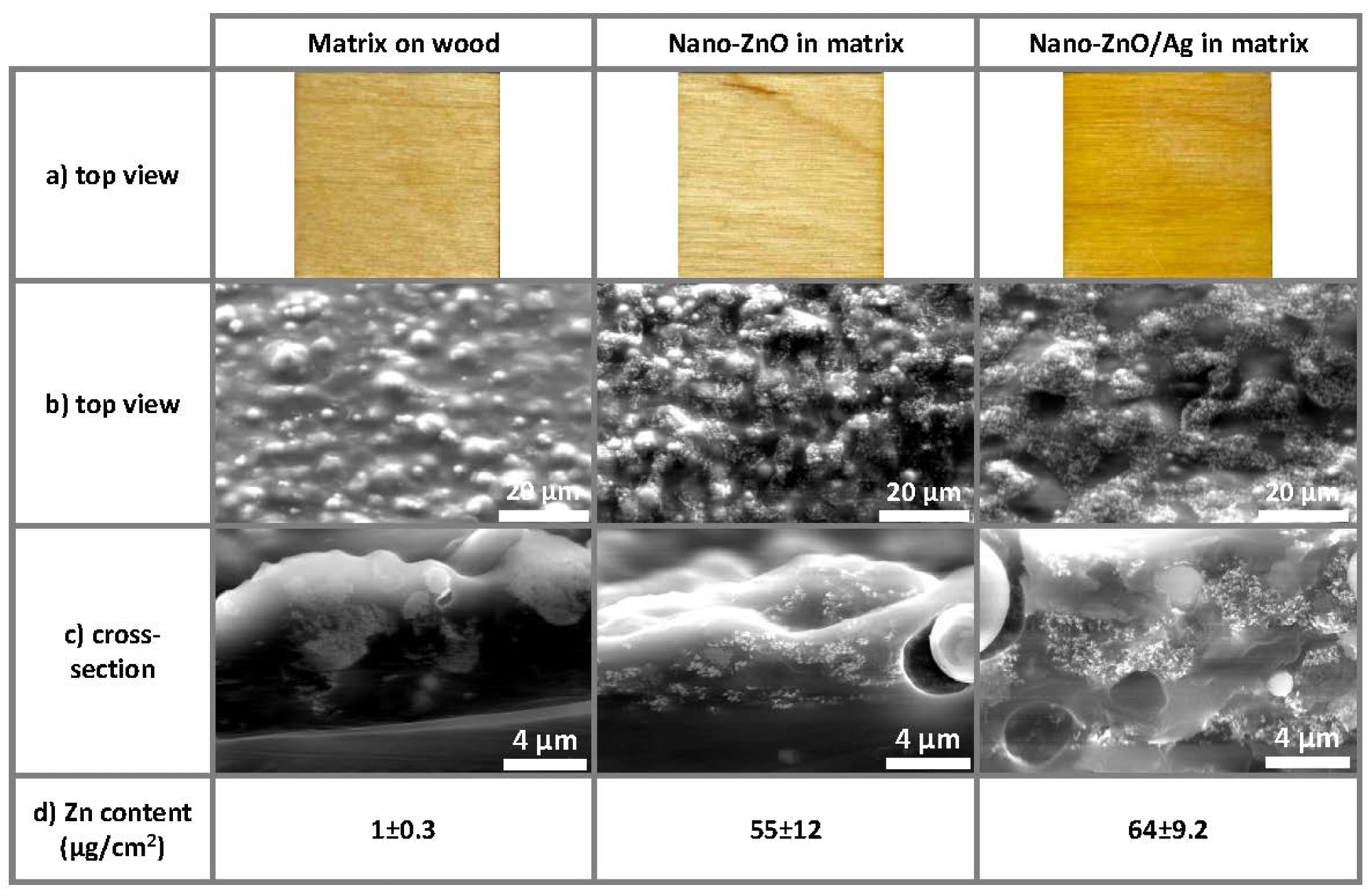 Photographic images, SEM images and XRF analysis data of coatings on wooden substrates: (a) photographic top view images of 25 × 25 mm samples reveal a more yellow coloring of nano-ZnO/Ag-based coatings compared to nano-ZnO-based and pure matrix coatings; (b) top view and (c) cross-section SEM images reveal a similar distribution for both nano-ZnO- and nano-ZnO/Ag-embedded nanoparticles; (d) Zn content (µg/cm2) was determined using X-ray fluorescence spectroscopy. Zn content in both nanoparticle-based coatings was similar and notably higher compared to the control (pure matrix-covered substrate).