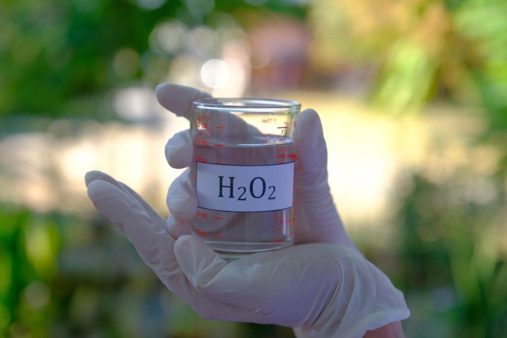 Hydrogen Peroxide Sensor for Most cancers Diagnostics