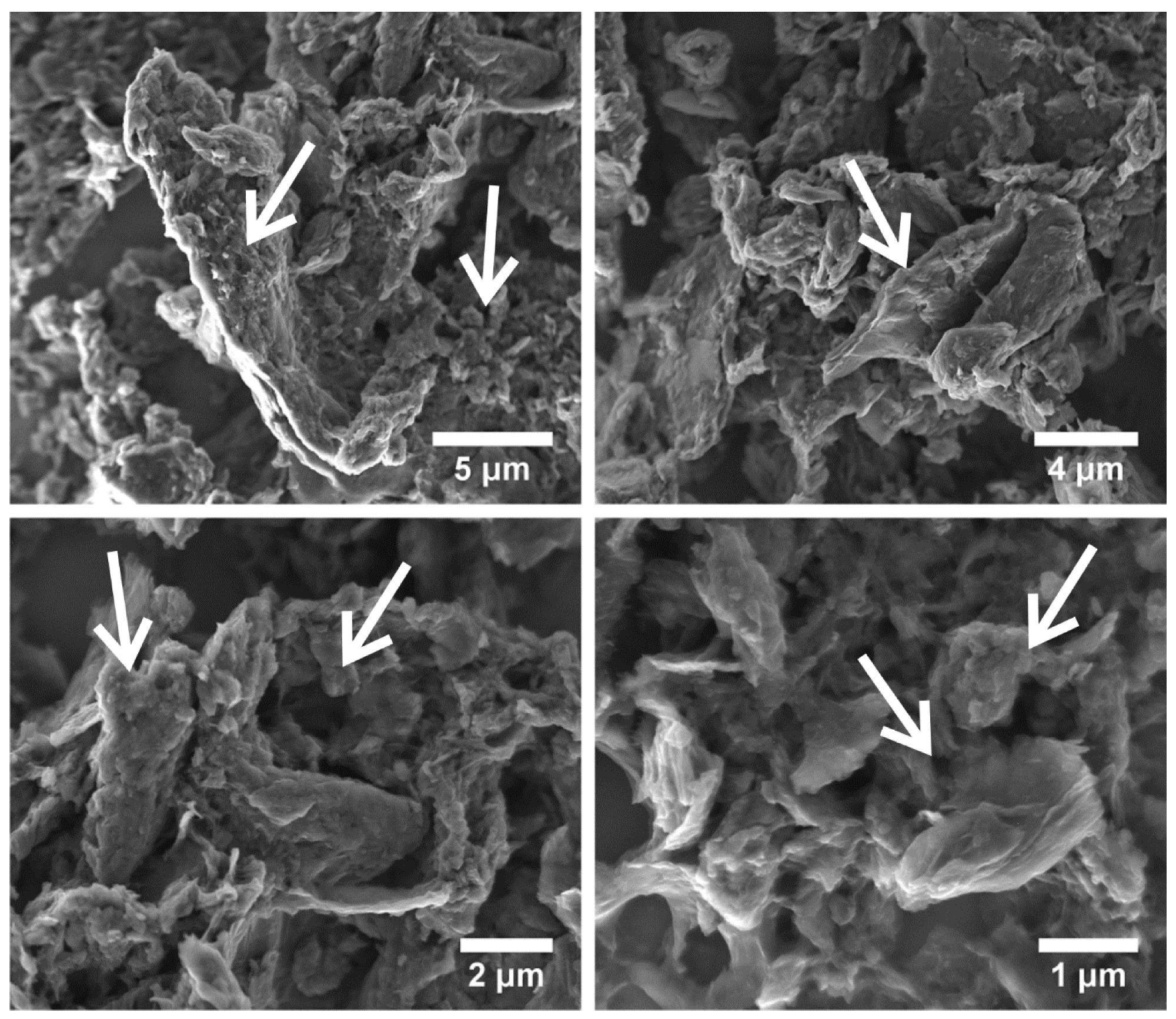 SEM images of graphene oxide material. The arrows showed particularity of obtained graphene oxide.