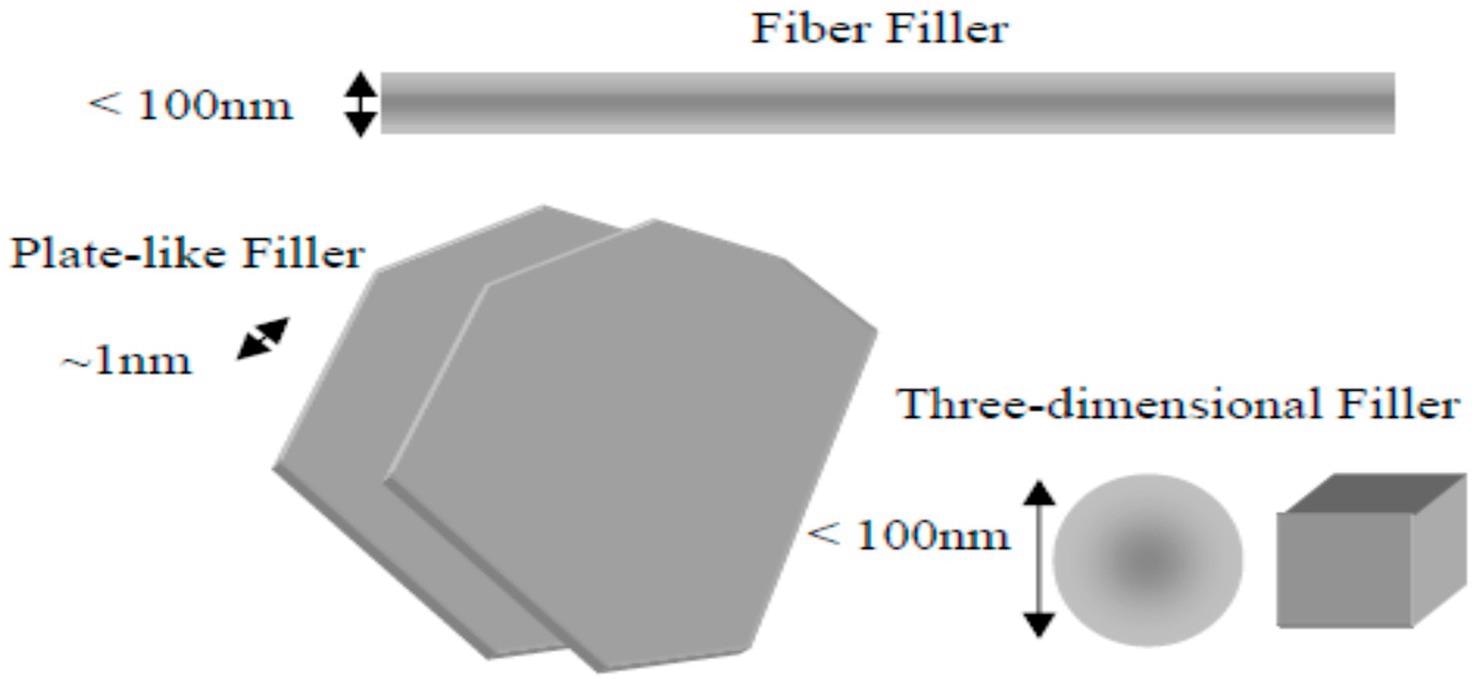 Schematic illustration of nanoscale fillers.