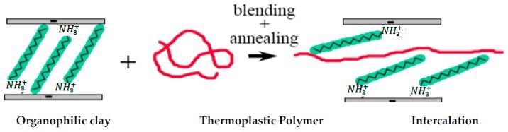 Melt blending technique for the preparation of polymer/clay nanocomposites.