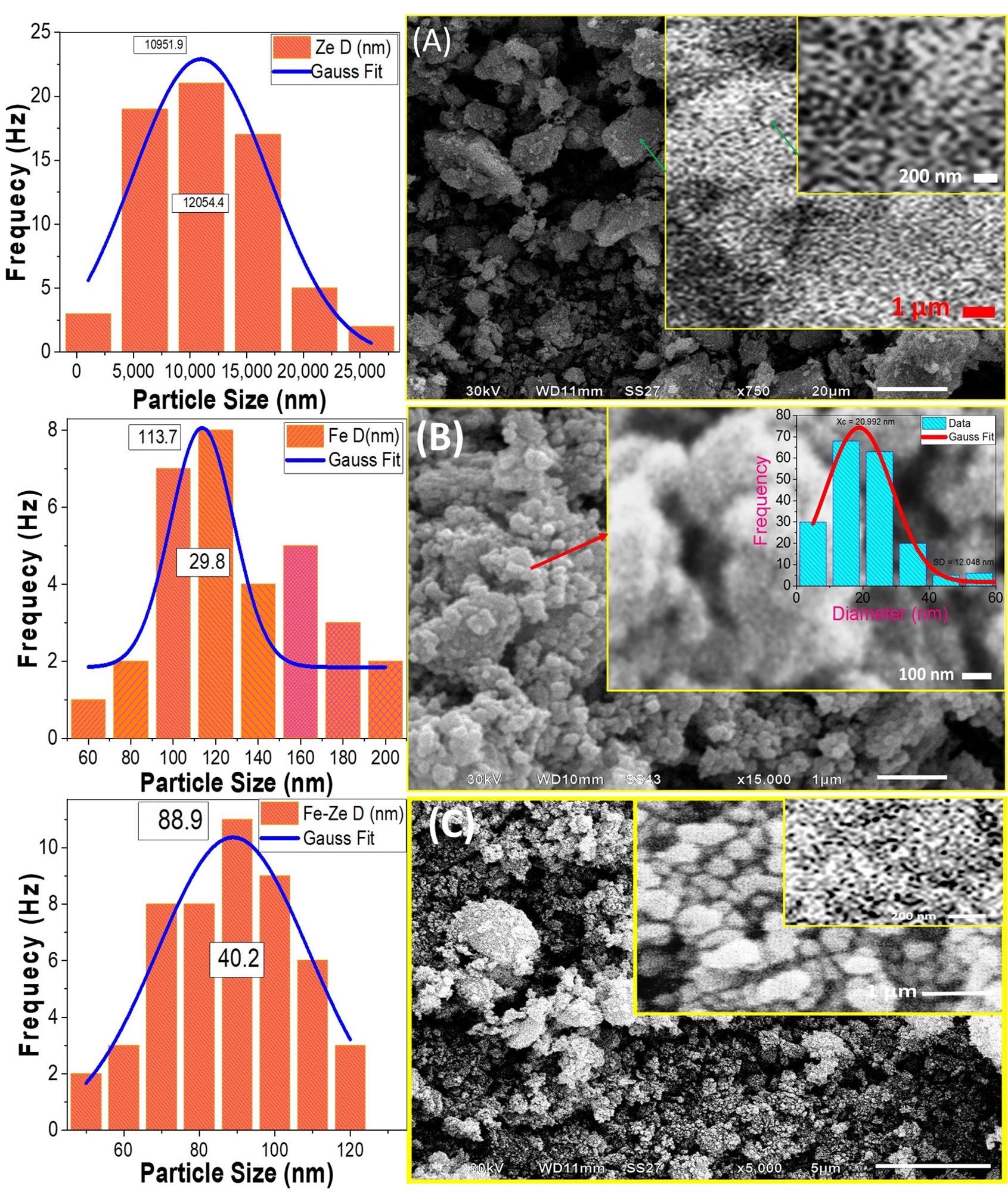 SEM micrographs and the corresponding particle size distribution for (A) natural zeolite, (B) Fe2O3, and (C) Fe2O3/zeolite. The inset of (B) shows the pore diameter distribution.