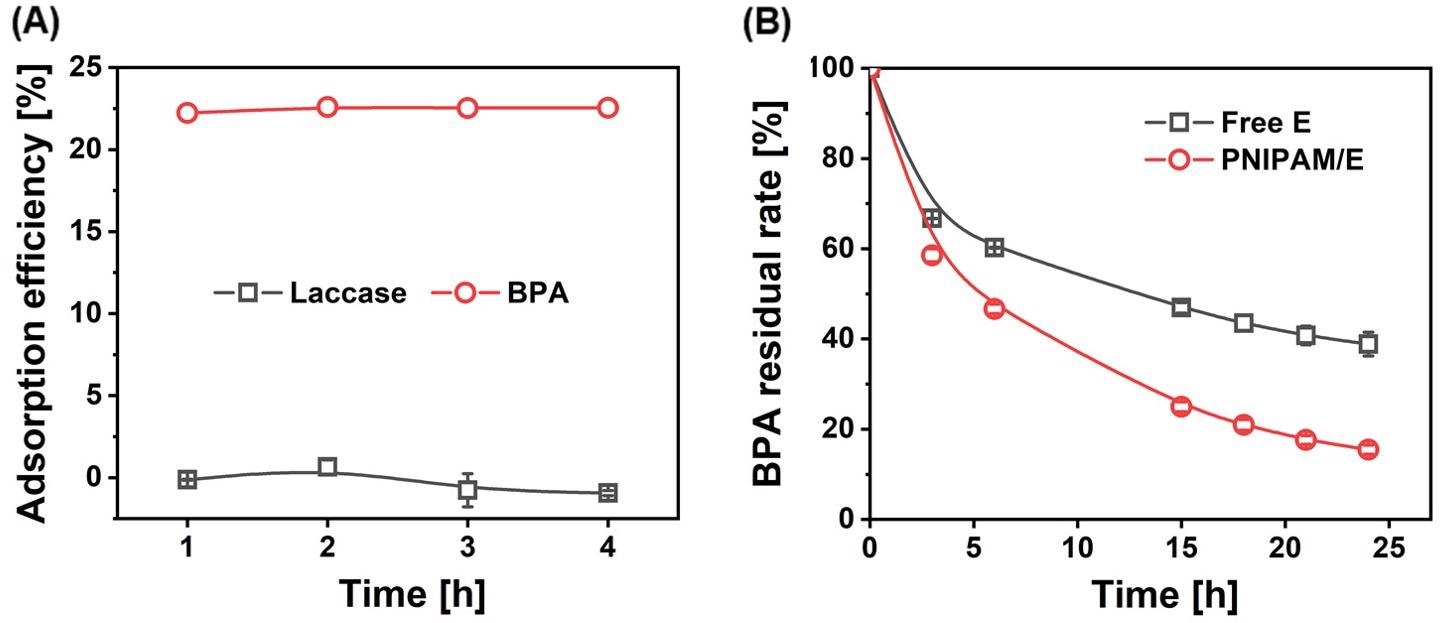 Interactions between PNIPAM microgels, laccase and BPA.