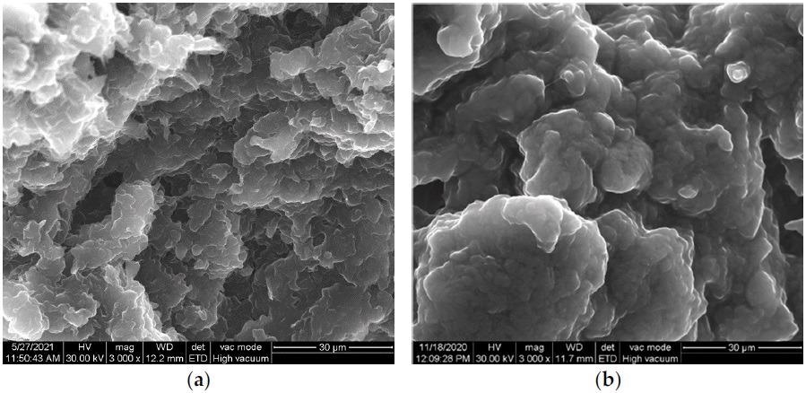 SEM images of paraffin oil-based carbon paste: (a) CNT and (b) GR-CNT.