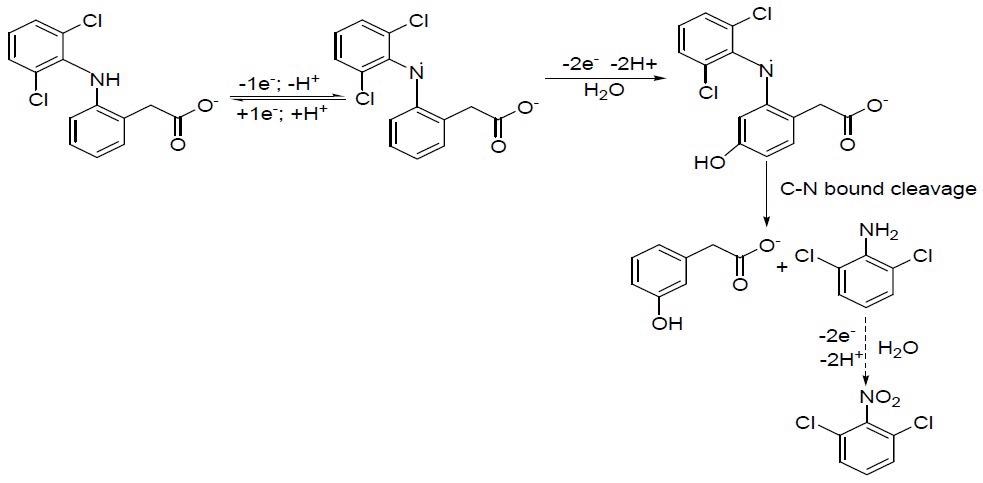 A proposed mechanism of DCF oxidation.